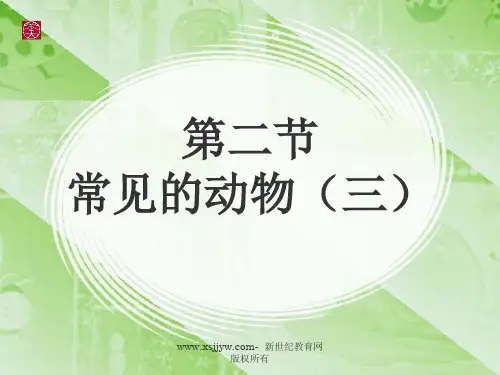 常见的动物(浙江省杭州市西湖区)