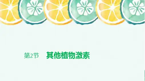 高中生物选修1(新教材)精品课件：5-2 其他植物激素 人教版