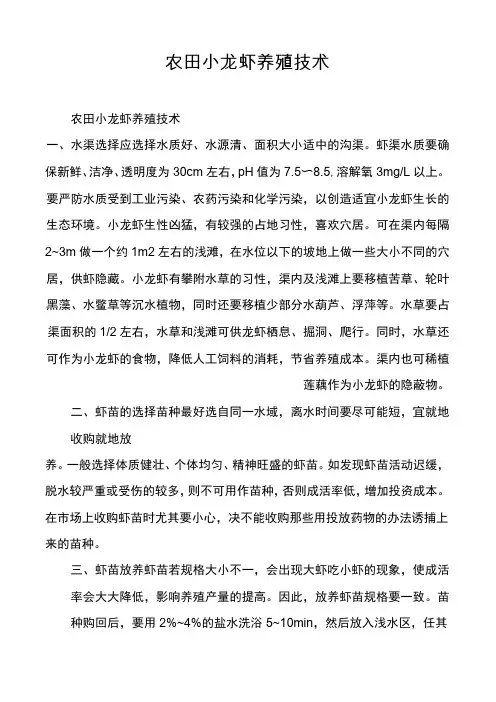 农田小龙虾养殖技术