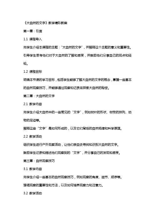 《大自然的文字》教学精彩教案