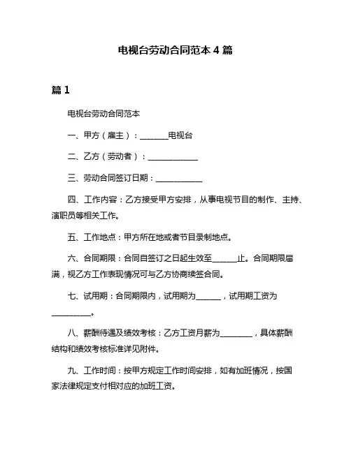 电视台劳动合同范本4篇