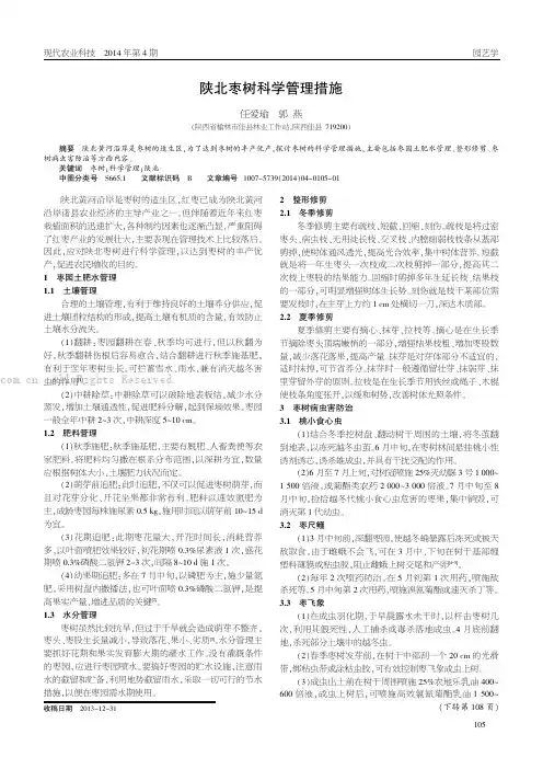 陕北枣树科学管理措施