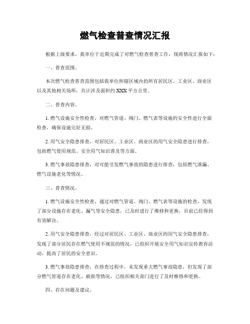 燃气检查普查情况汇报