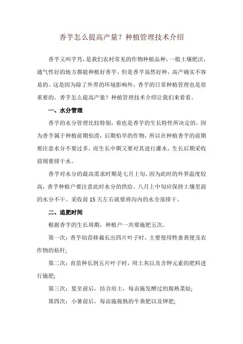 香芋怎么提高产量？种植管理技术介绍