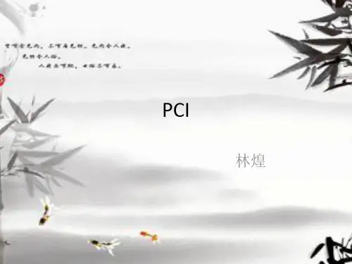 PCI