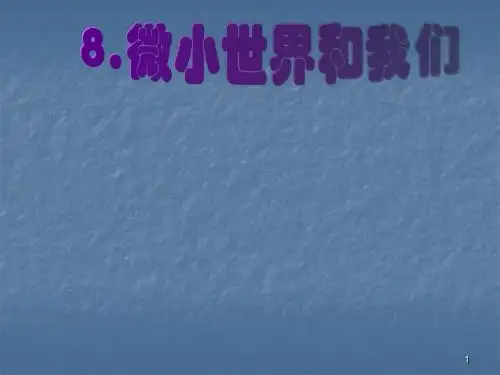 微小世界和我们ppt课件