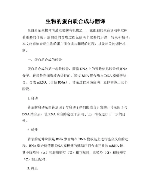 生物的蛋白质合成与翻译