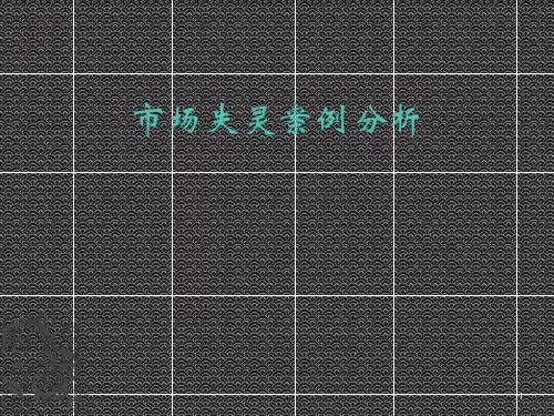 市场失灵案例分析ppt课件
