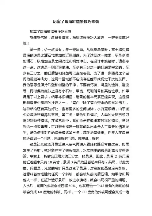 厉害了哦海缸造景技巧来袭
