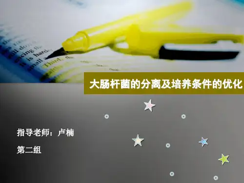大肠杆菌的分离及培养条件的优化-第二组