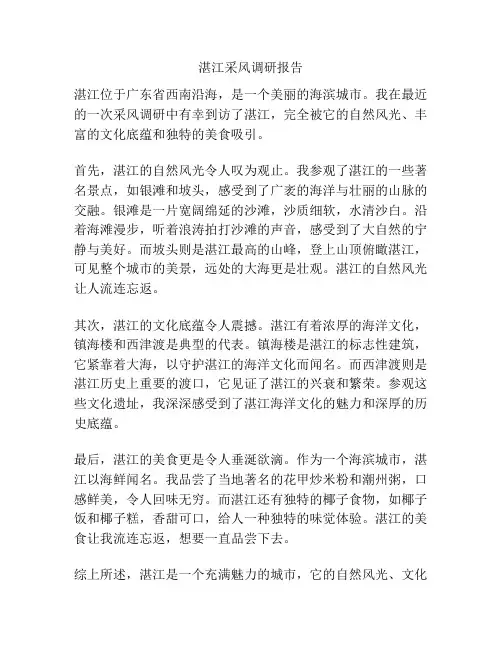 湛江采风调研报告
