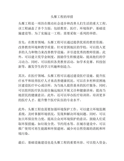 头雁工程的举措