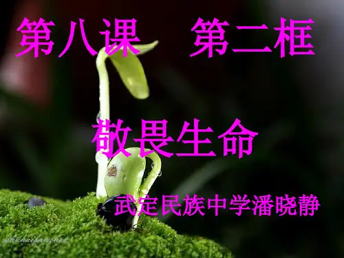 部编版政治第八课第二节《敬畏生命》 PPT (1)