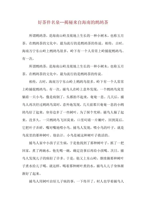 好茶伴名泉--揭秘来自海南的鹧鸪茶