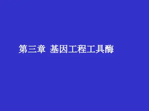 第三章基因工程工具酶.ppt