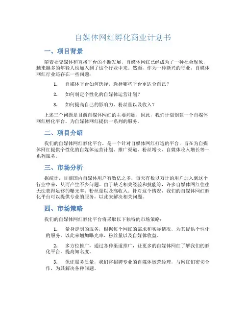 自媒体网红孵化商业计划书