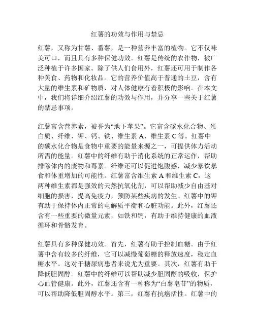 红薯的功效与作用与禁忌