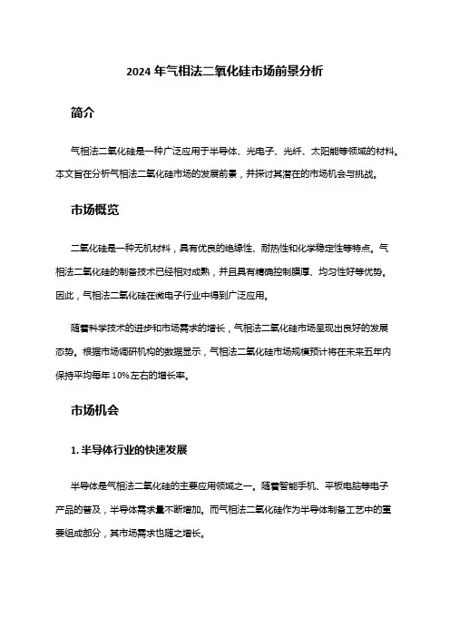 2024年气相法二氧化硅市场前景分析