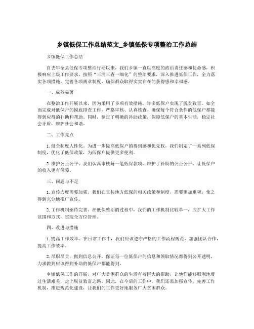 乡镇低保工作总结范文_乡镇低保专项整治工作总结