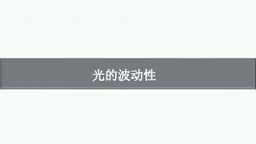 光的波动性-高考物理复习