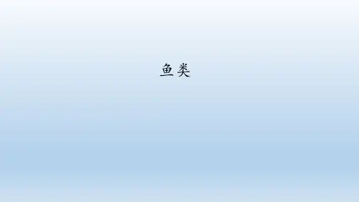 鲁科版(五四学制)八年级生物上册：1.4鱼类(共31张PPT)