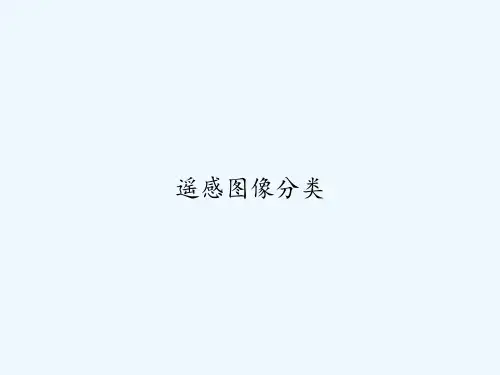 遥感图像分类 PPT