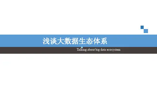 浅谈大数据生态圈PPT课件