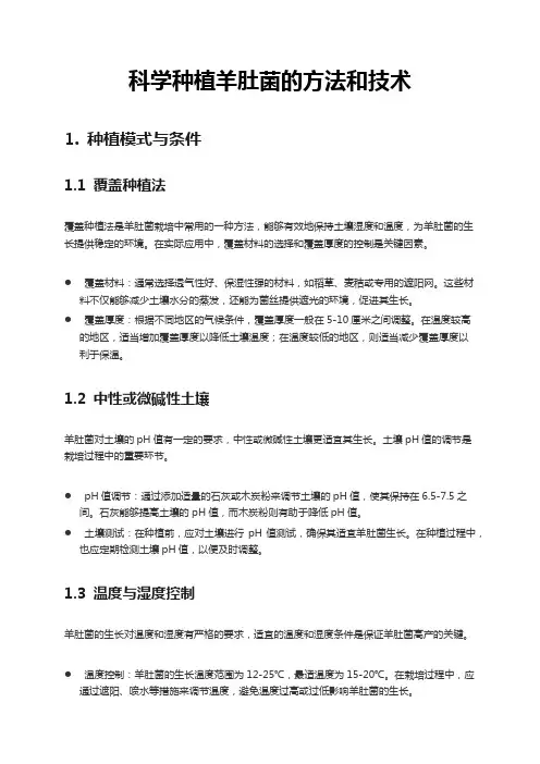 科学种植羊肚菌的方法和技术