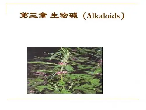 第十章生物碱
