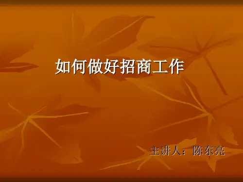 如何做好招商工作(PPT 38张)