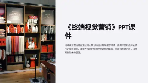 《终端视觉营销》课件