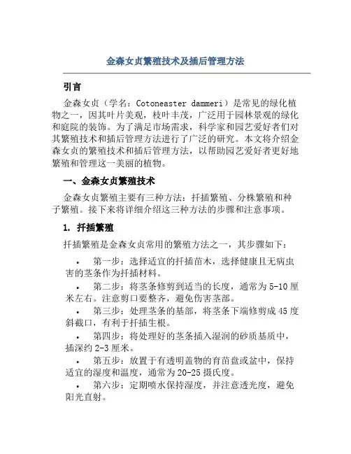 金森女贞繁殖技术及插后管理方法