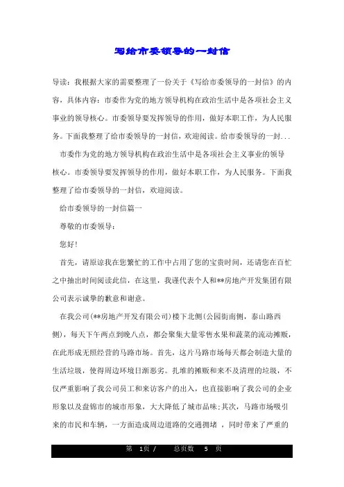 写给市委领导的一封信