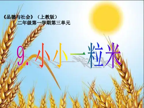 小小一粒米