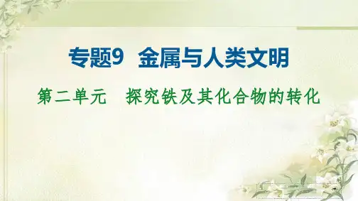 新教材 苏教版高中化学必修第二册 专题9 第二单元 探究铁及其化合物的转化 精品教学课件
