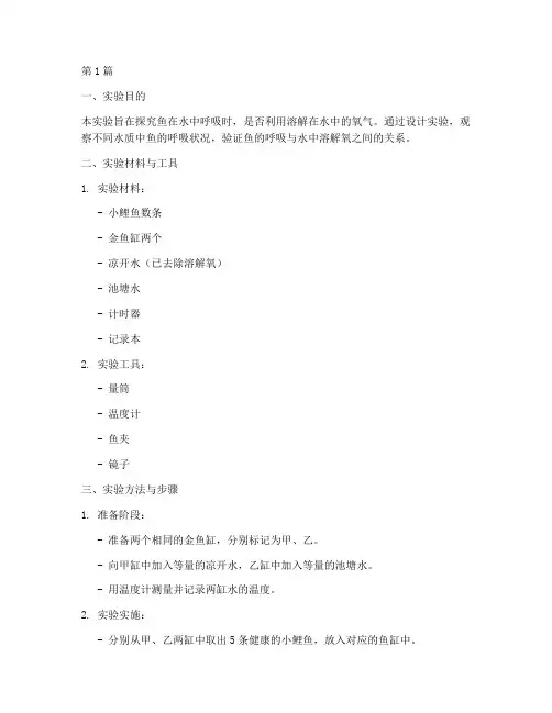 鱼呼吸探究实验报告(3篇)
