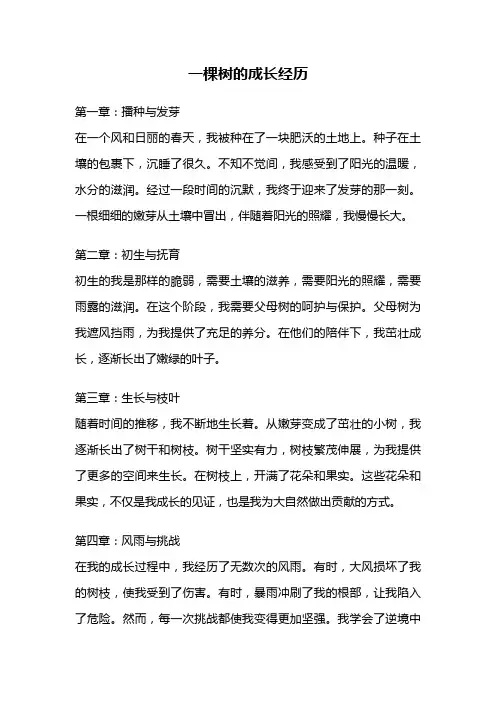 一棵树的成长经历
