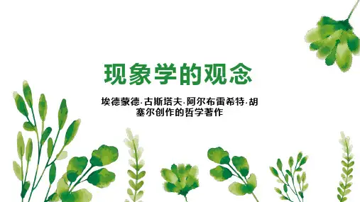 现象学的观念