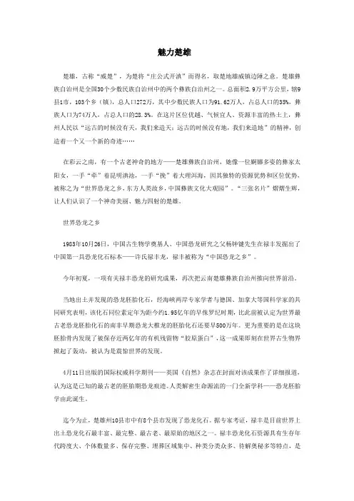 魅力楚雄