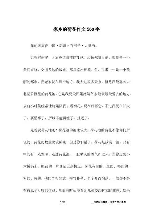 家乡的荷花作文500字