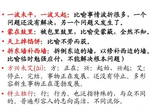 成语Microsoft PowerPoint 演示文稿