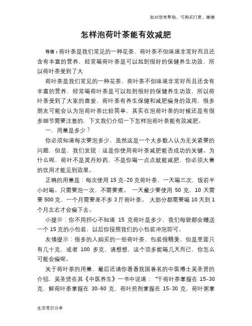 怎样泡荷叶茶能有效减肥