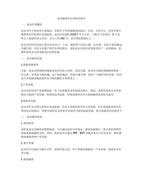 延安融资可行性研究报告
