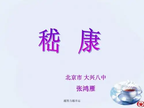 “嵇康、阮籍”材料与高考作文ppt课件