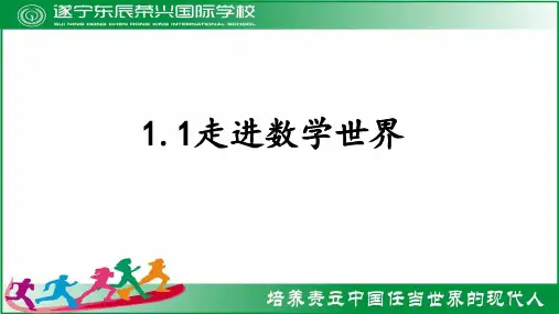 华东师大版七年级上册 1.1 走进数学世界  课件(共23张PPT)