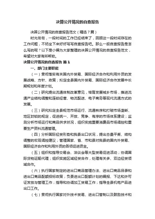 决算公开情况的自查报告