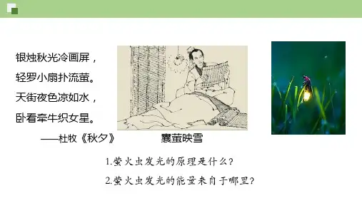 细胞的能量“货币”ATP课件2023-2024学年高一上学期生物人教版必修1