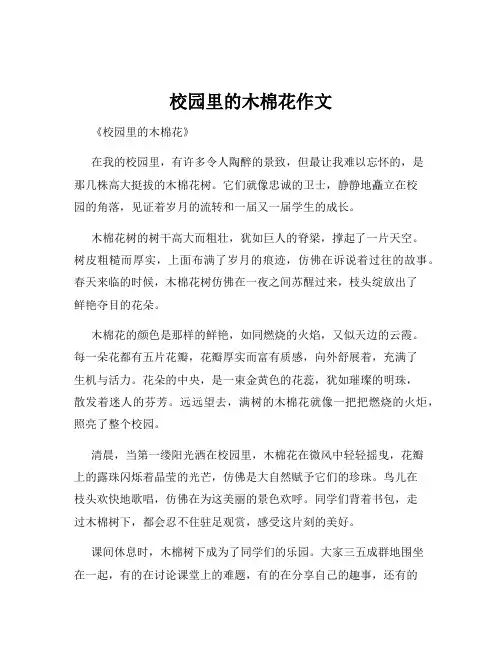 校园里的木棉花作文