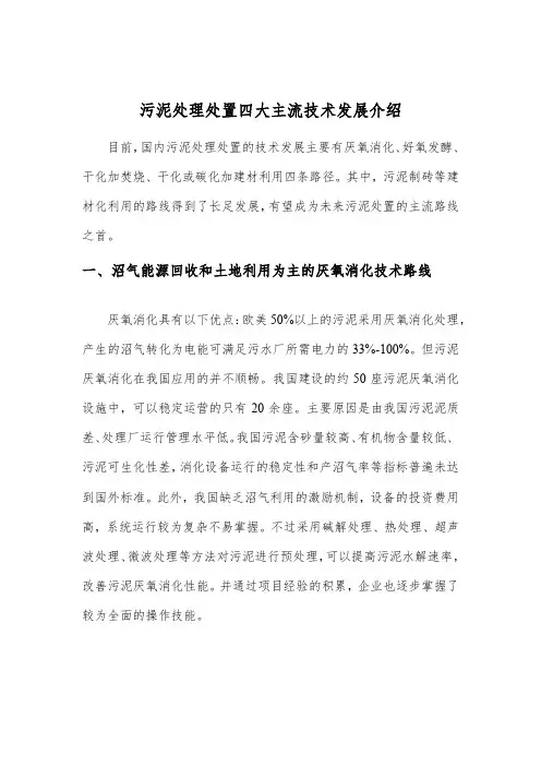 污泥处理处置四大主流技术发展介绍