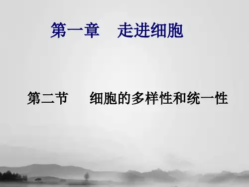 必修一第一章第二节细胞的多样性和统一性原核细胞真核细胞